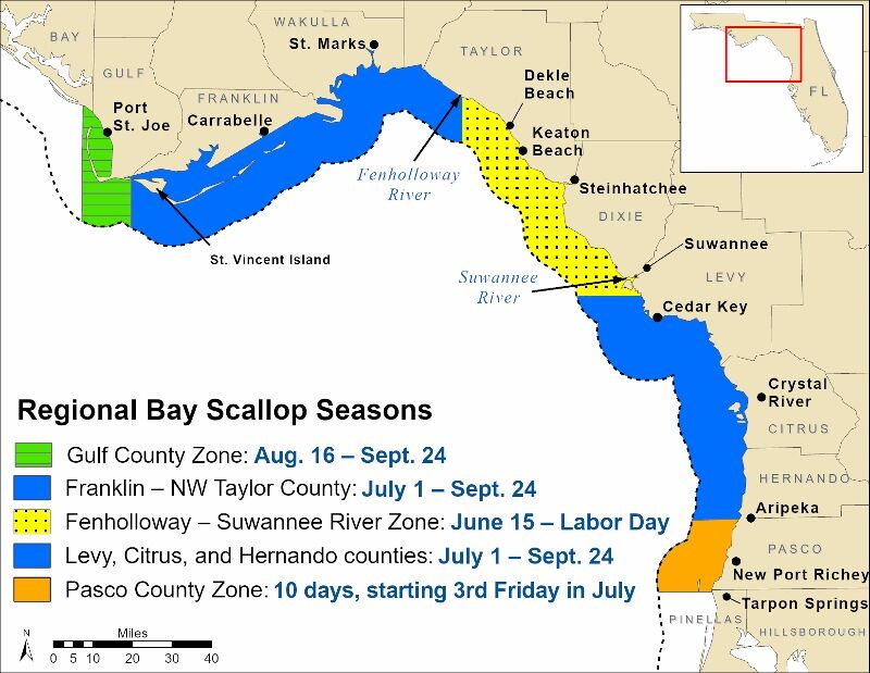Scallop Season -- FWC.jpg